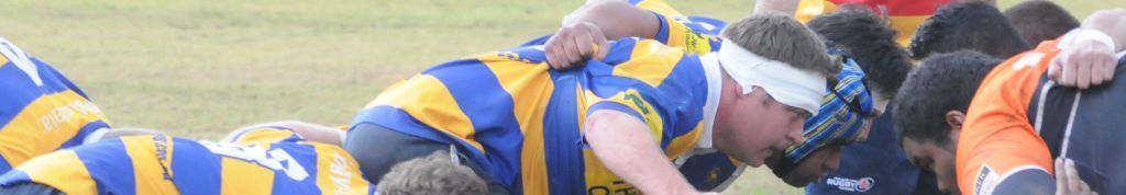 banner2